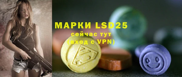твердый Коряжма