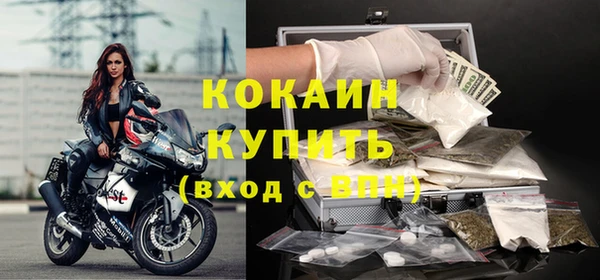 твердый Коряжма