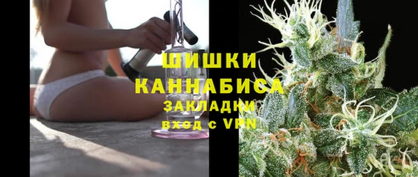 твердый Коряжма
