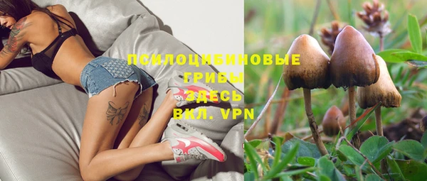 хмурый Костерёво