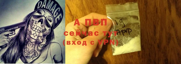 твердый Коряжма