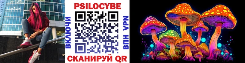 Псилоцибиновые грибы Psilocybine cubensis  закладка  Москва 