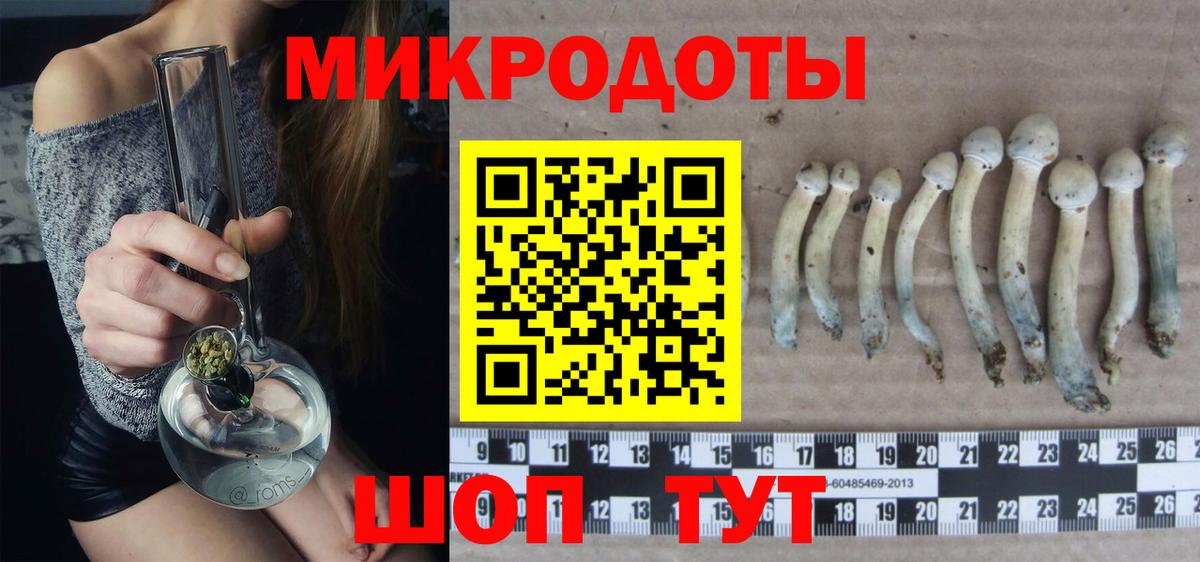 Галлюциногенные грибы Cubensis Москва