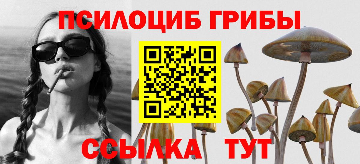 Москва  Галлюциногенные грибы Psilocybine cubensis  Вход с VPN  даркнет сайт  Галлюциногенные грибы Cubensis 